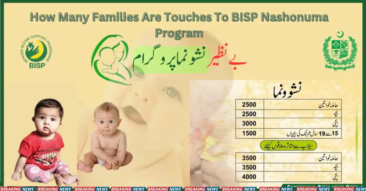 How Many Families Are Touches to BISP Nashonuma Programme?