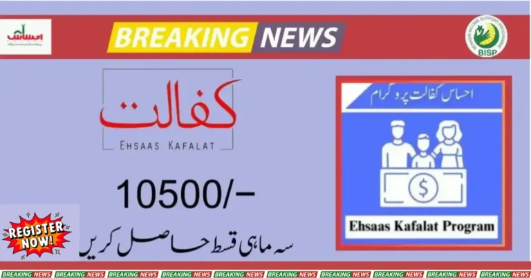 What is the Ehsaas Kafalat Program and What is its Purpose?