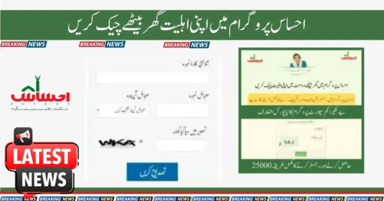 Ehsaas 8171 Program CNIC Check Online Easy Procedure