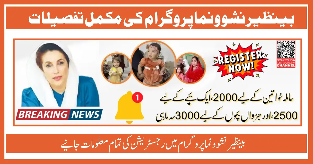 Receive PKR 2500 from the Benazir Nashonuma Program How to Apply Today