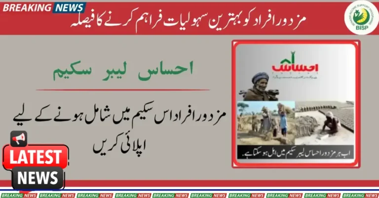 Unlocking Benefits: How to Make the Most of the Ehsaas Labor Scheme