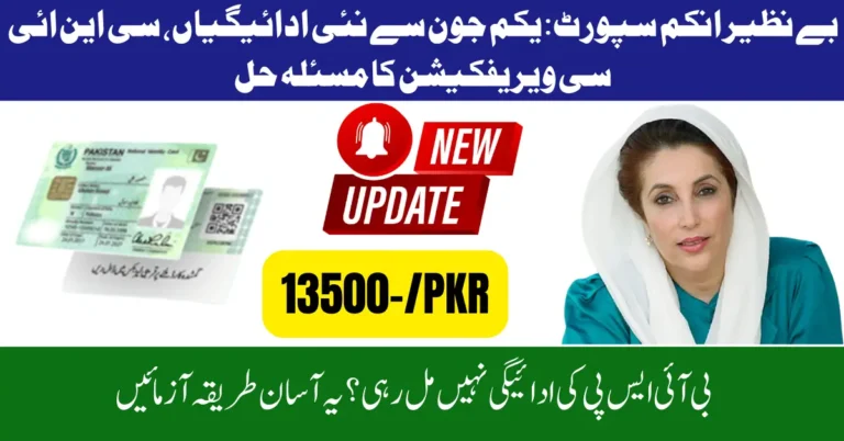 BISP CNIC Problem Fixed – Fresh Payments Set to Start for Eligible Beneficiaries: Benazir Web Portal