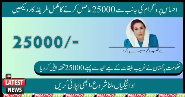Ehsaas Program Check CNIC 25000 Online Registration