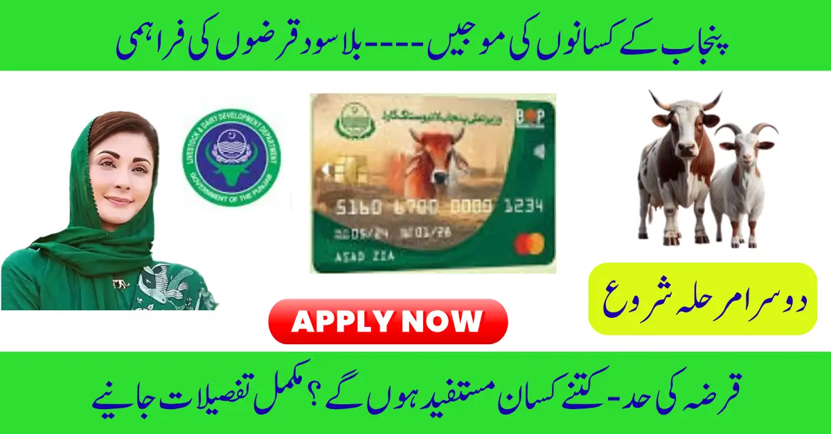 Punjab Launches Interest-Free Livestock Loans for 80,000 Farmers